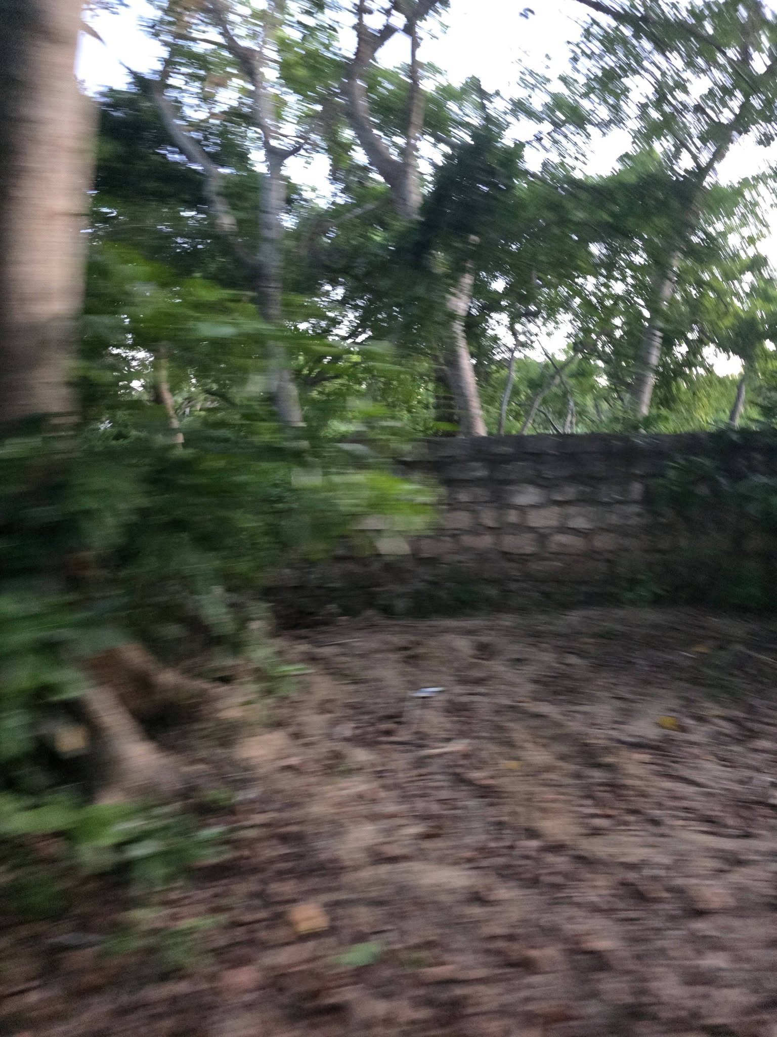 Prime Beachfront Land for Sale in Diani Beach – Near Pinewood Beach Resort Image