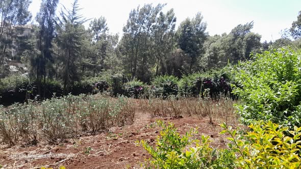 PRIME COMMERCIAL PLOT FOR SALE IN NGONG Image