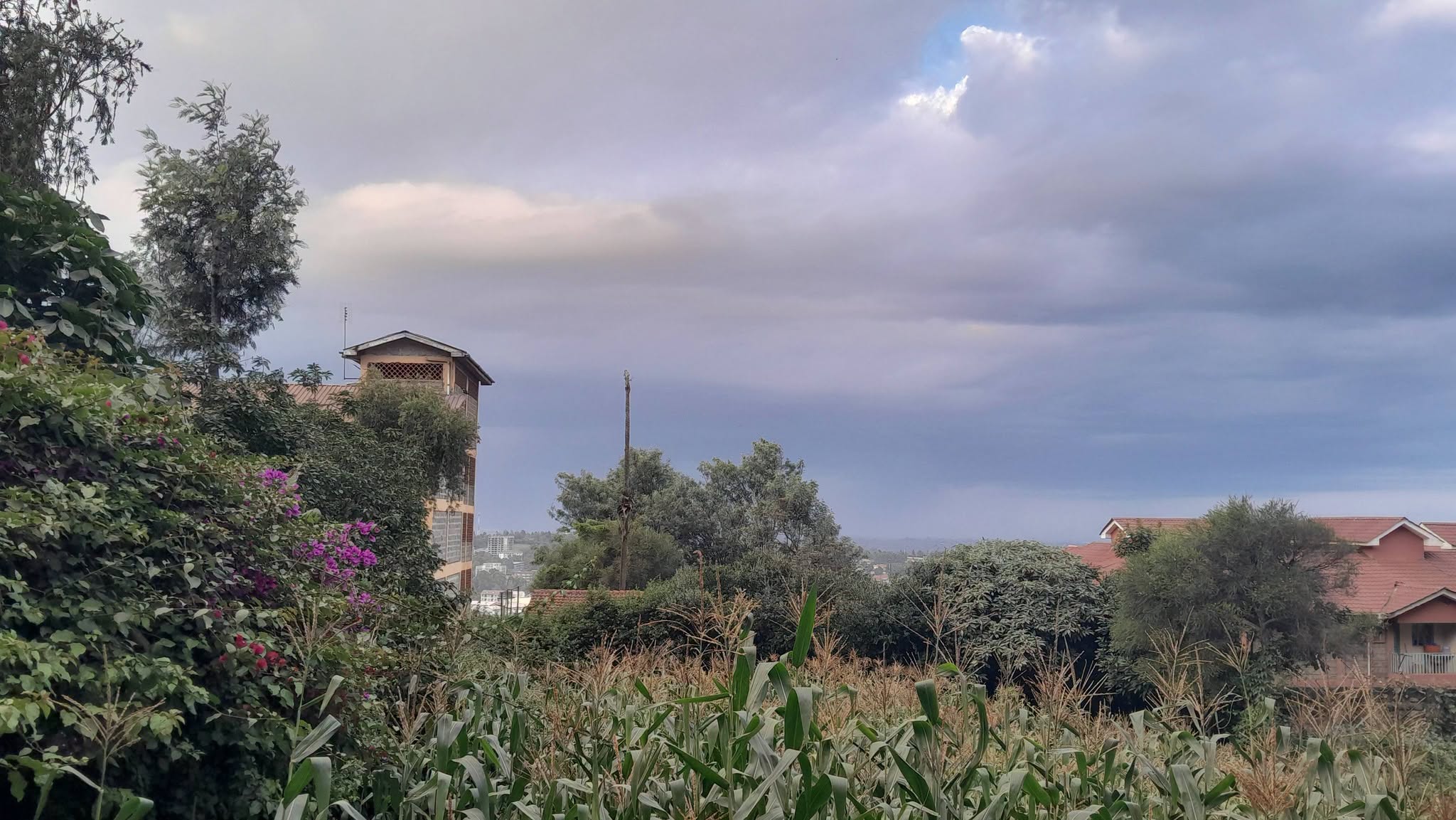 PRIME COMMERCIAL PLOT FOR SALE IN NGONG TOWN Image
