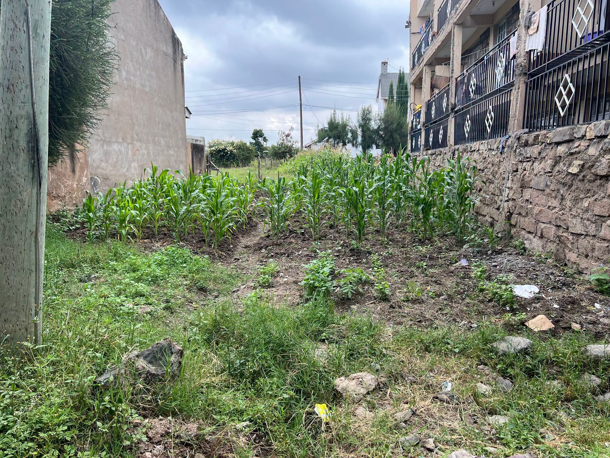 Prime Commercial Plot for Sale in Utawala Mofarm Image