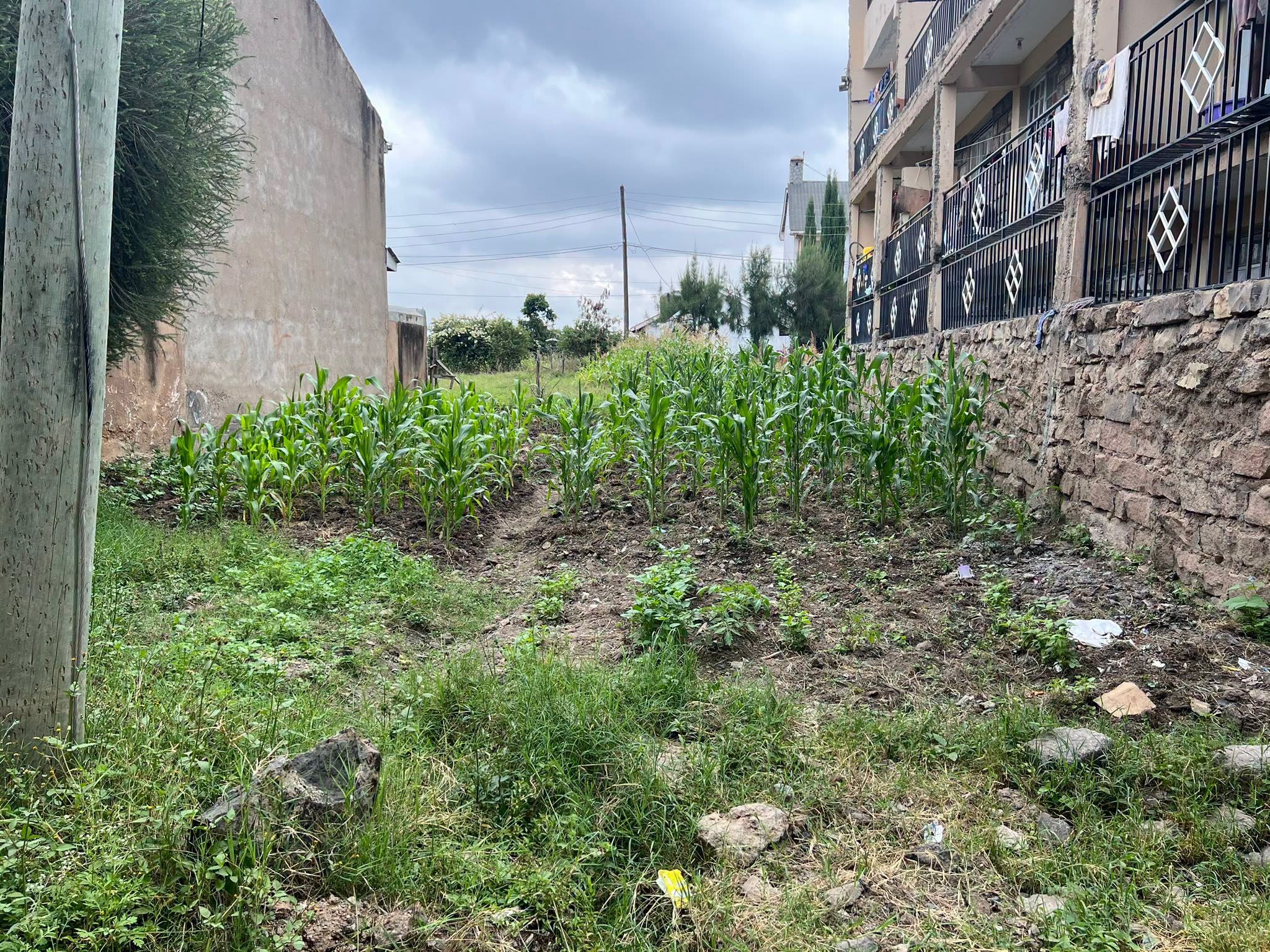 Prime Commercial Plot for Sale in Utawala Mofarm
