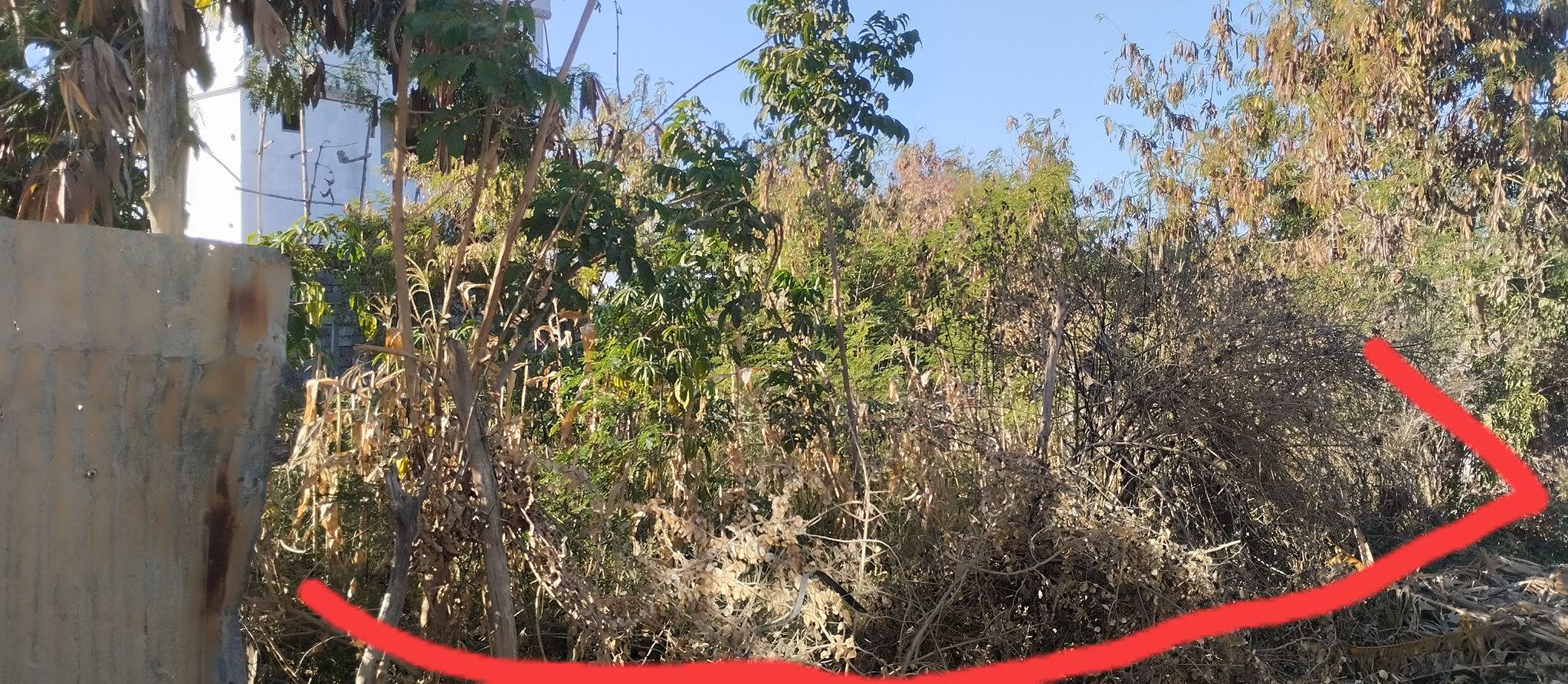 PRIME COMMERCIAL PLOT ON SALE IN UTAWALA Image