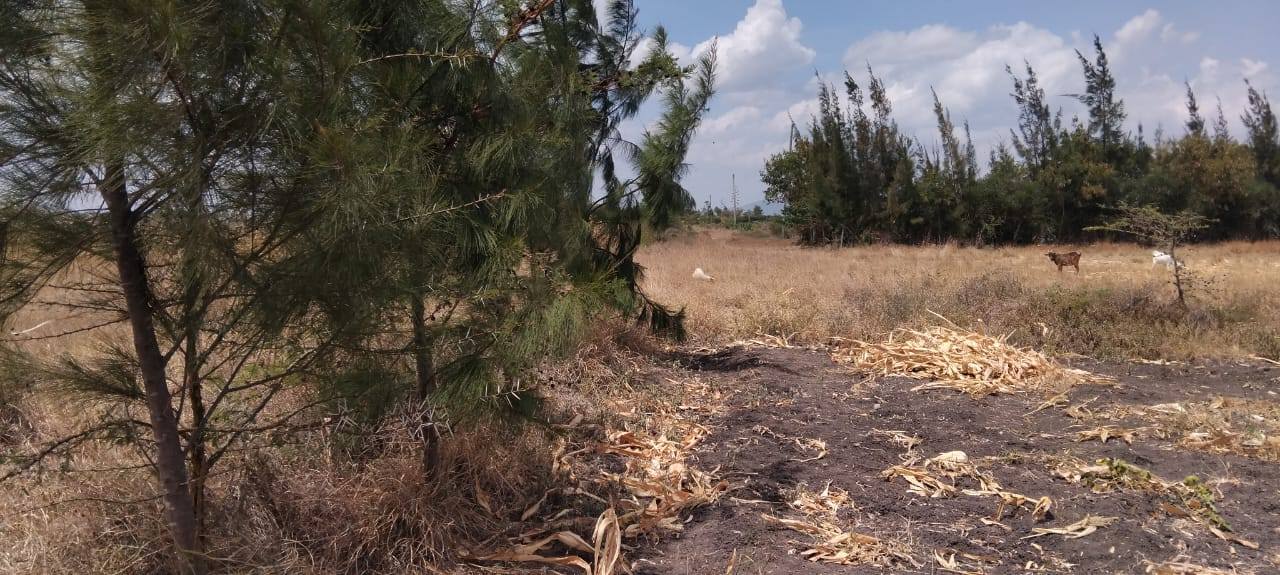 PRIME CORNER PLOTS FOR SALE – KANTAFU (OFF KANGUNDO ROAD) Image