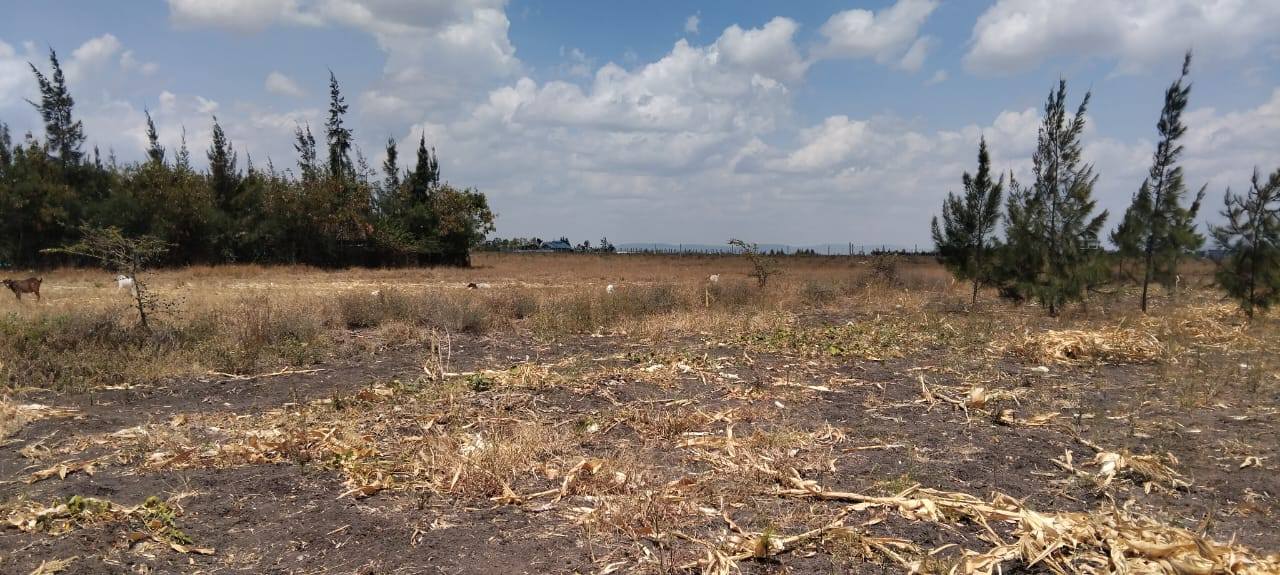 PRIME CORNER PLOTS FOR SALE – KANTAFU (OFF KANGUNDO ROAD)