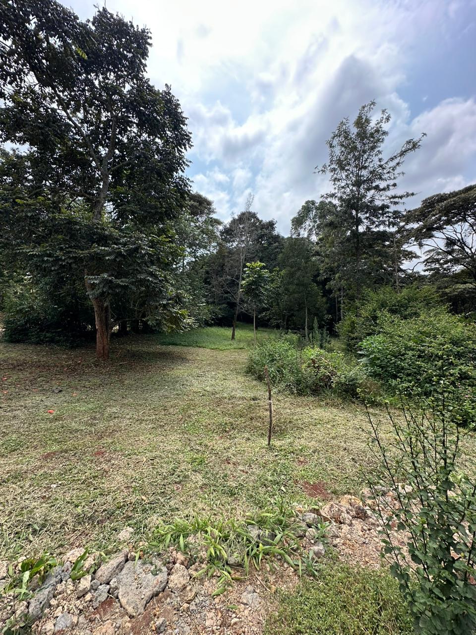 Prime Half Acre Plot for Sale For Sale in Karen, Miotoni Area