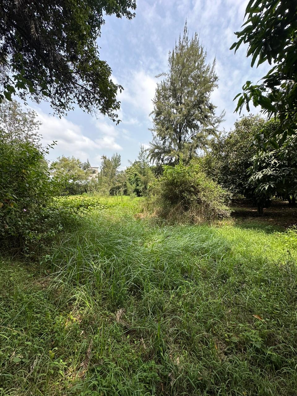Prime Half Acre Plot for Sale For Sale in Karen, Miotoni Area Image