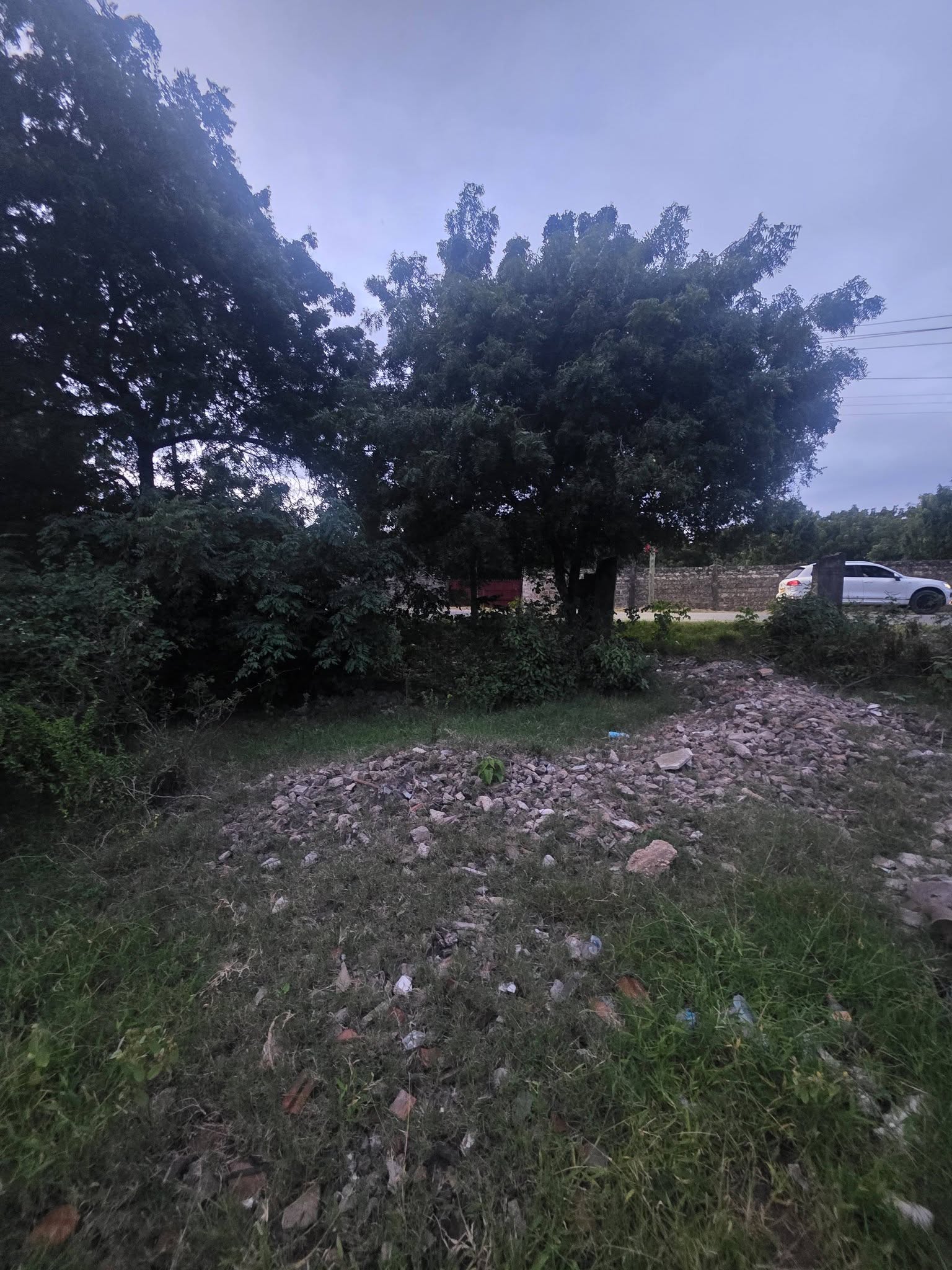 PRIME HALF-ACRE PLOT FOR SALE IN DIANI Image