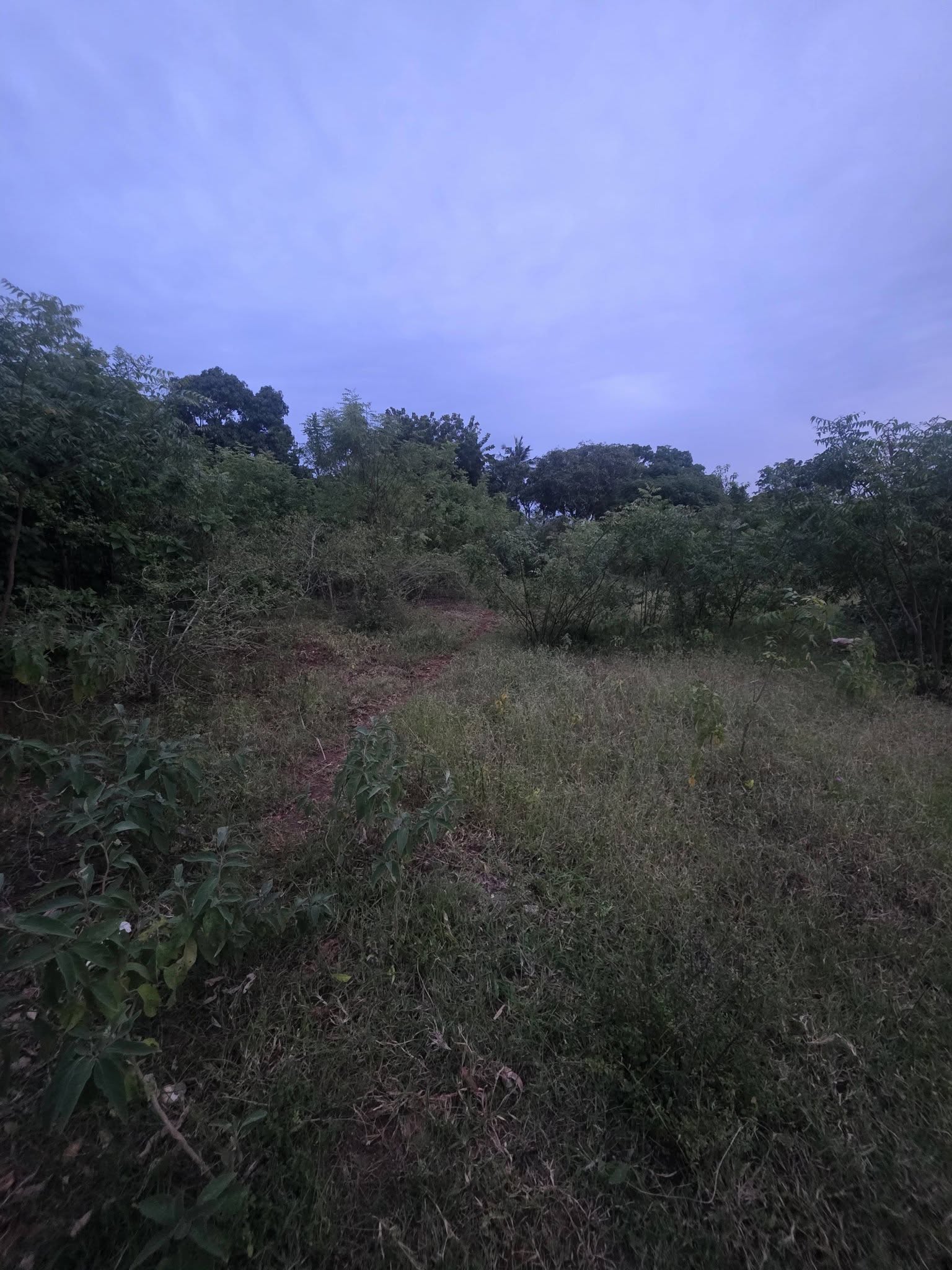PRIME HALF-ACRE PLOT FOR SALE IN DIANI