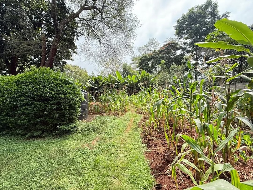 Prime Half Acre Plot For Sale in Nyari Image