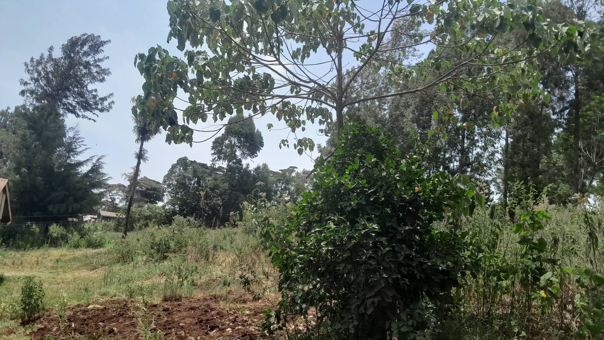Prime Half An Acre Land For Sale in Ngong, Kahara