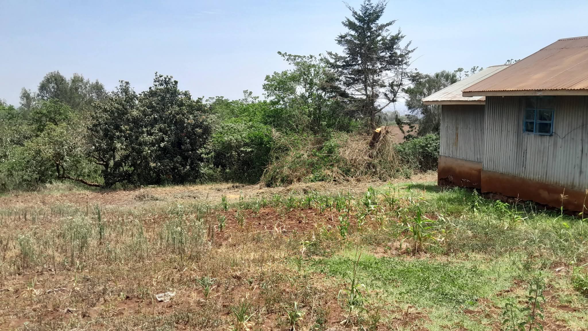 Prime Half An Acre Land For Sale in Ngong, Kahara Image