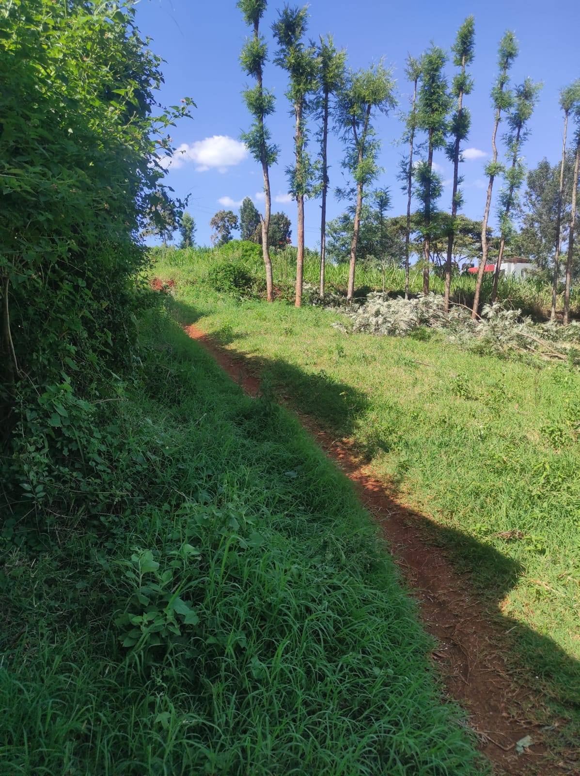 PRIME LAND FOR SALE IN GATHIGA NEAR APHRC KITISURU Image