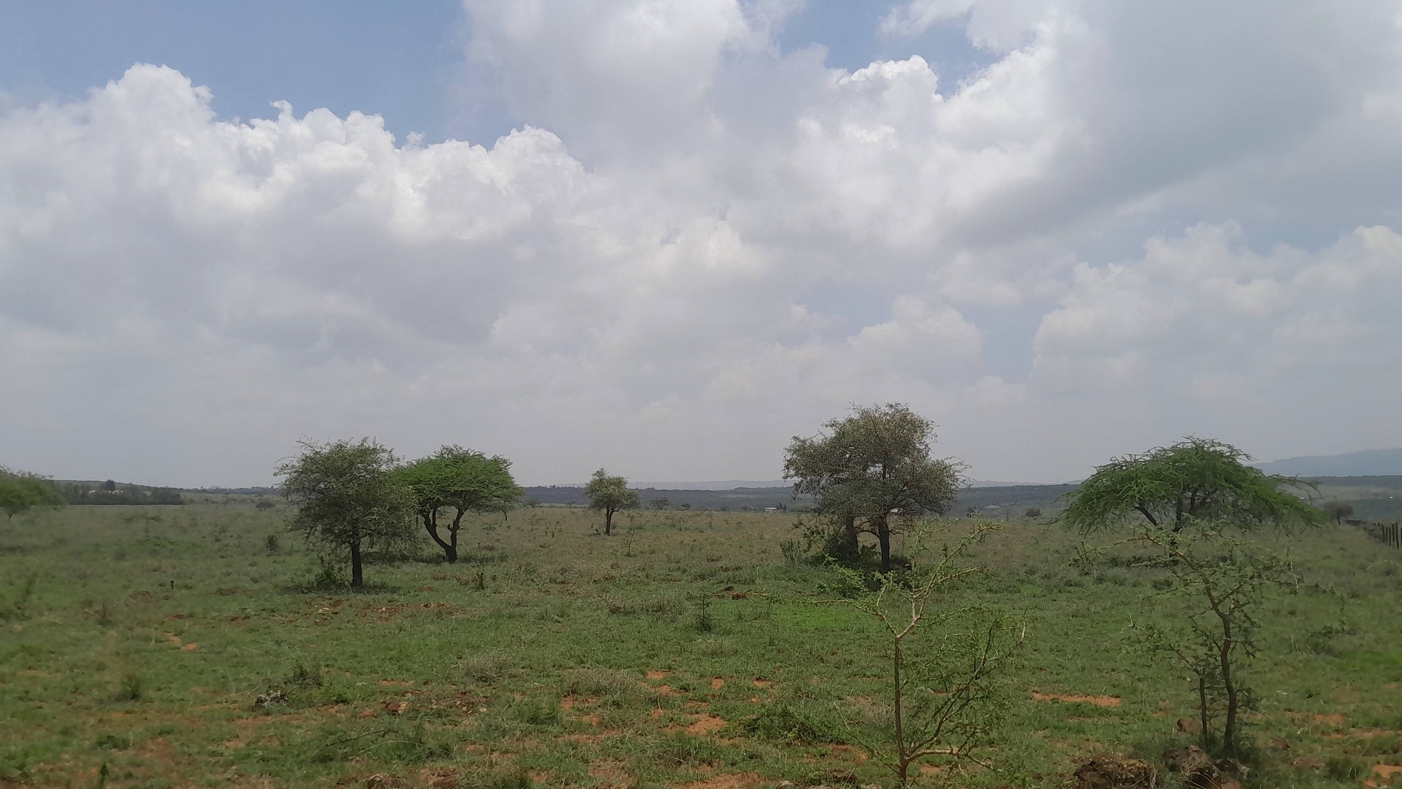 PRIME LAND FOR SALE IN MAROROI, KIMUKA-NGONG Image