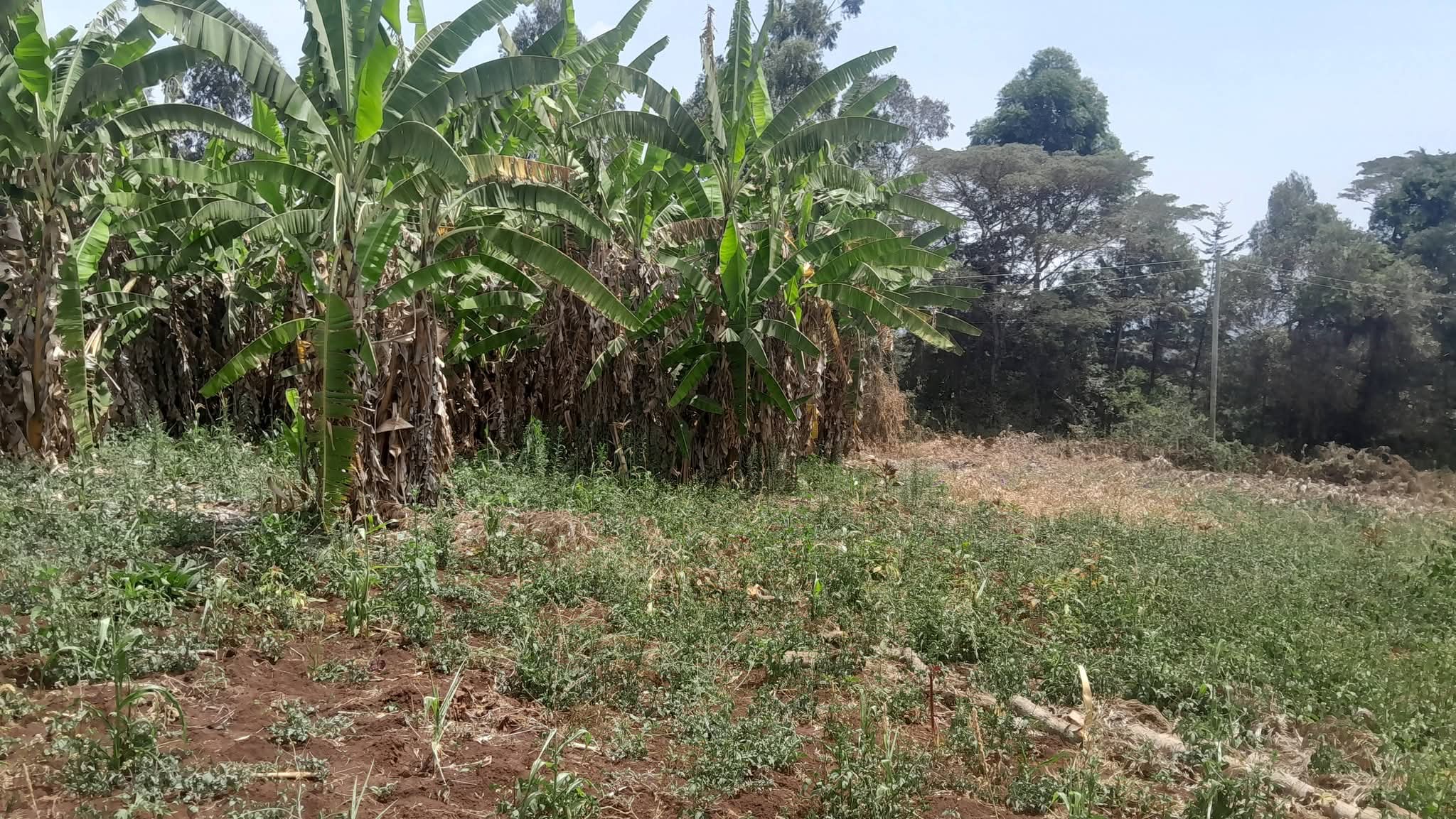 Prime Land For Sale in Olkeri, Ngong