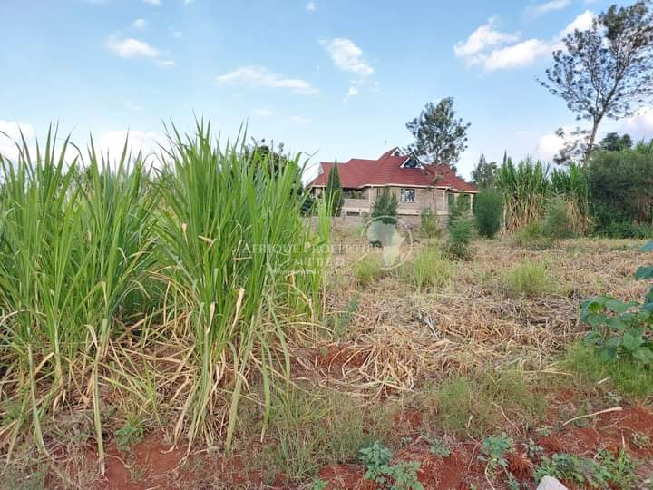 Prime Land For Sale in Ruiru