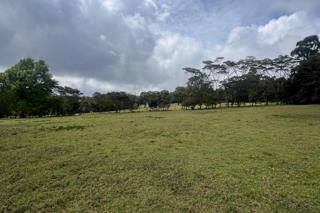 Prime land for sale in tigoni Image