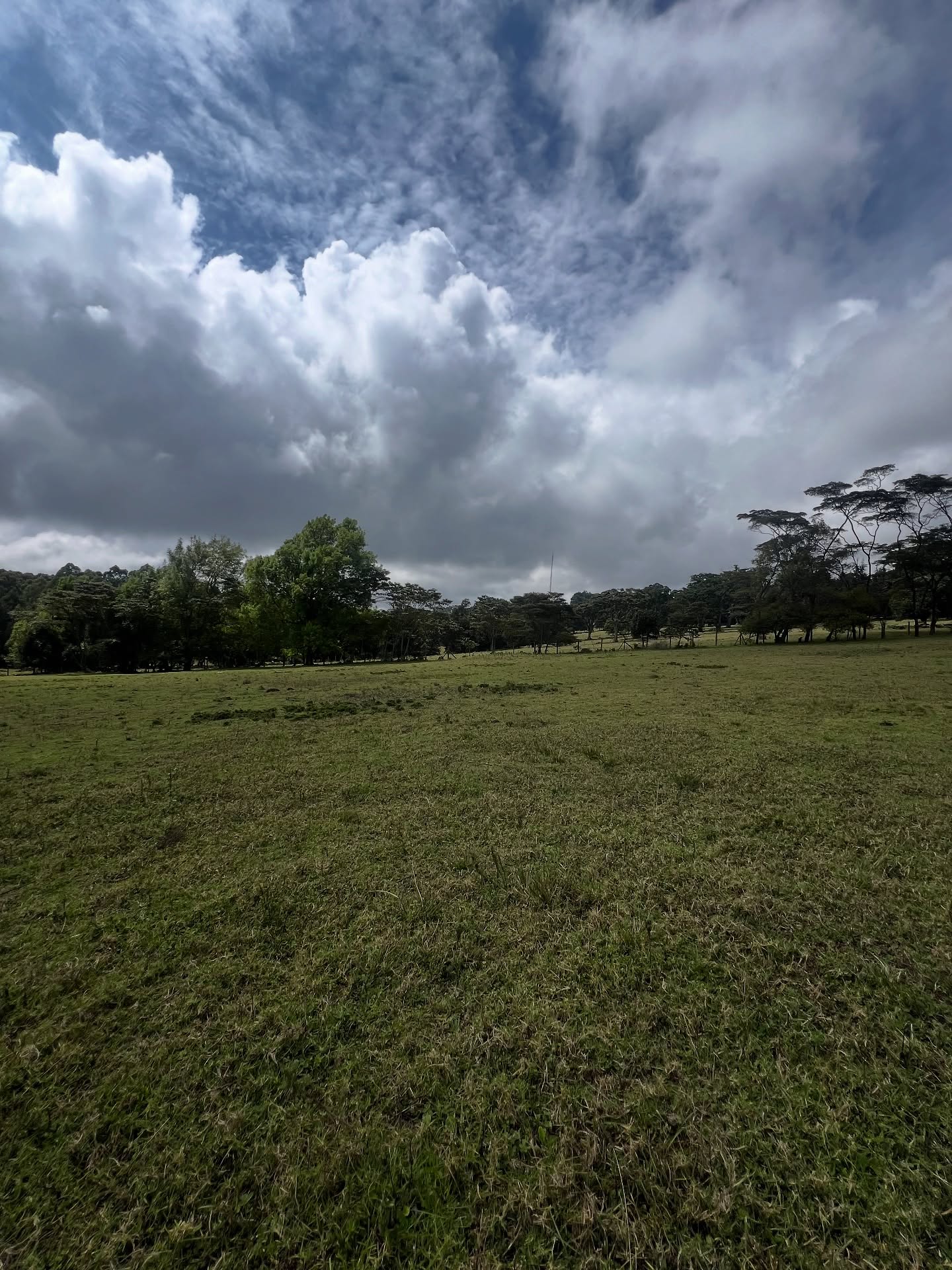 Prime Land for Sale in Tigoni