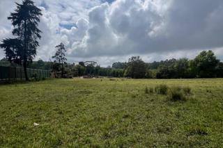Prime land for sale in tigoni Image