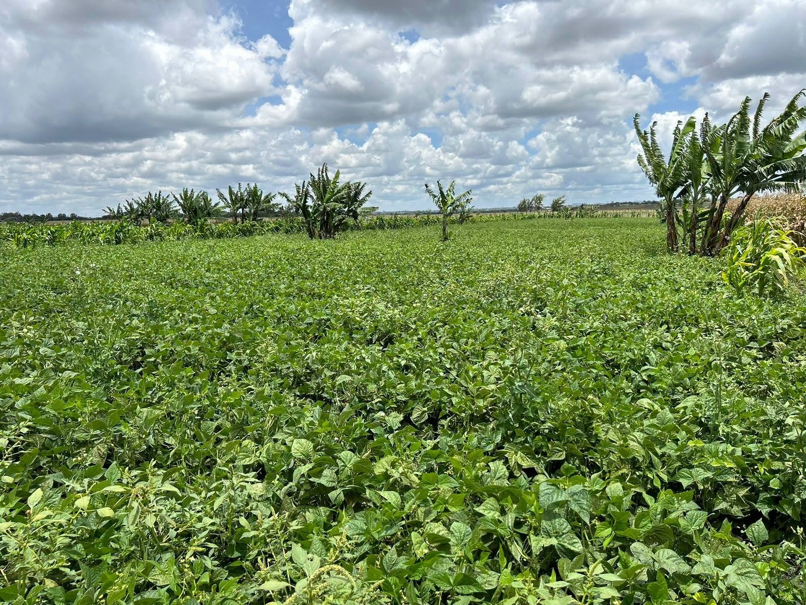 Prime Land Investment Opportunities – Kajiado & Kitengela Region Image