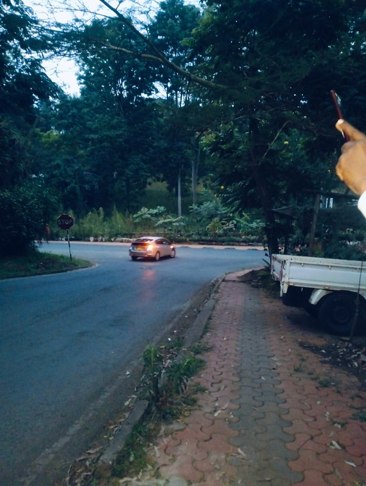Prime Old kitisuru 1.1 acre land for sale touching peponi road and kitisuru road.
