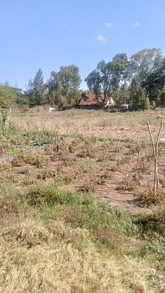 Prime plot for LEASE in Bogani Rd, KAREN
