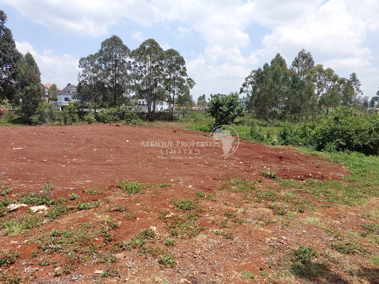 Prime Plot For Sale in Runda Image