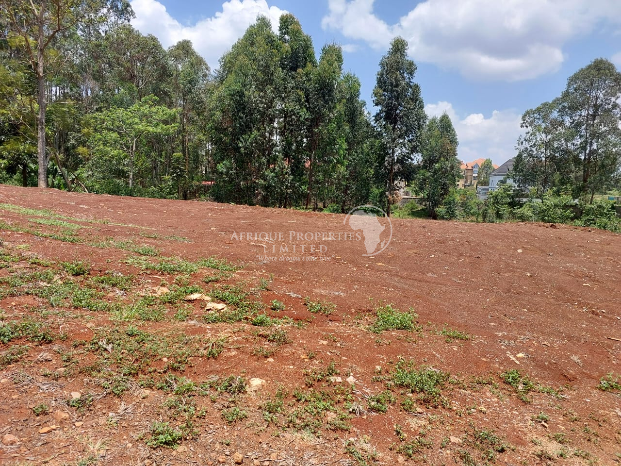 Prime Plot For Sale in Runda Image