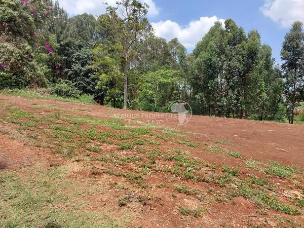 Prime Plot For Sale in Runda