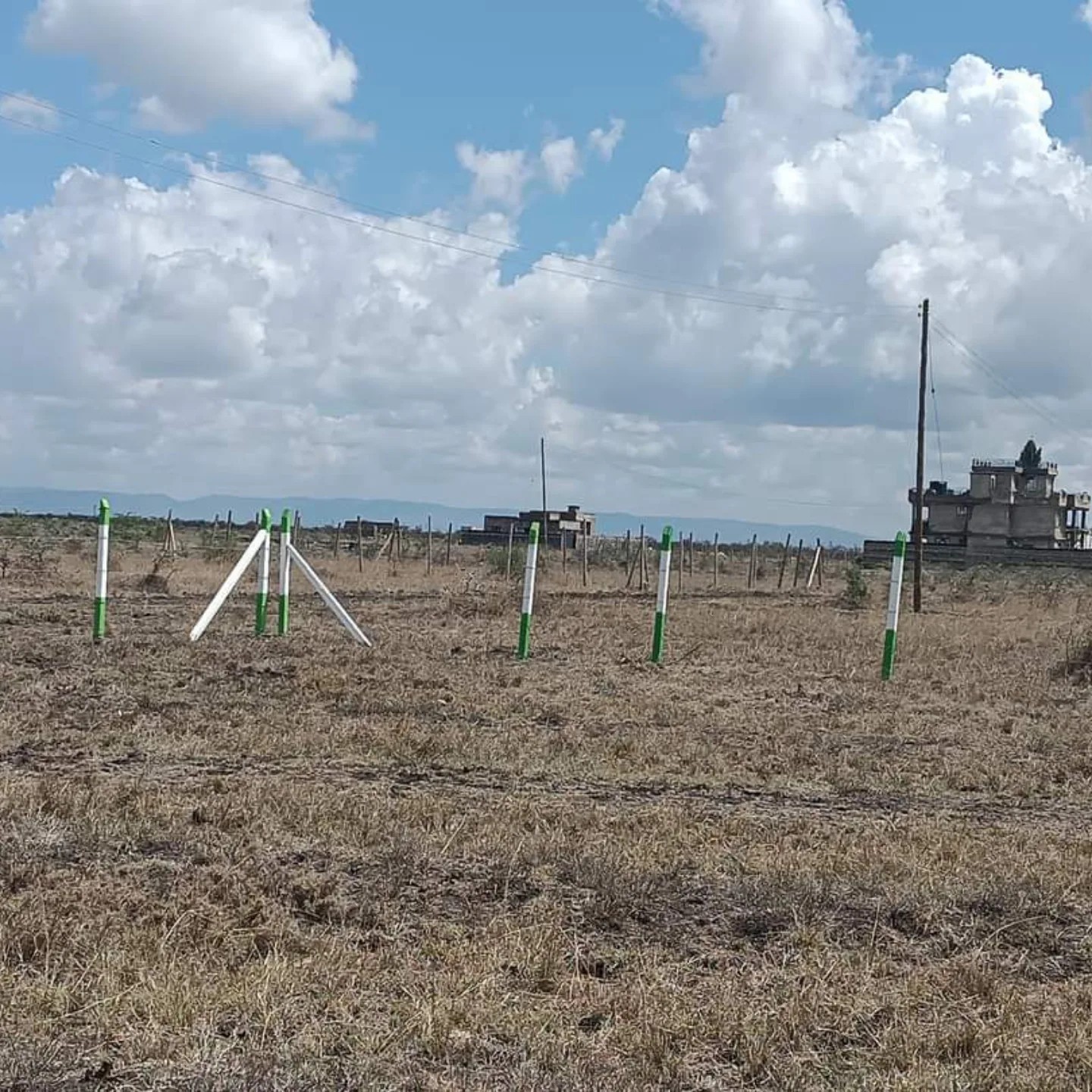 PRIME PLOTS FOR SALE IN KAMAKIS,RUIRU(KIRATINA AREA) Image