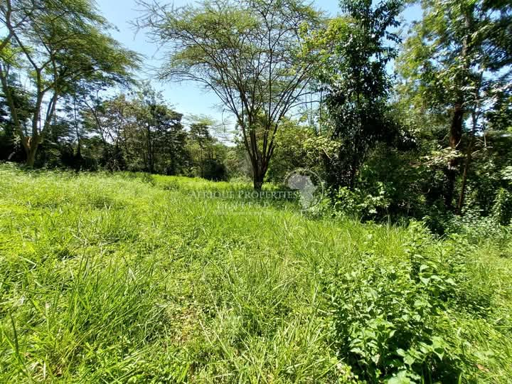 Prime Resident Plot For Sale in Old Runda Image