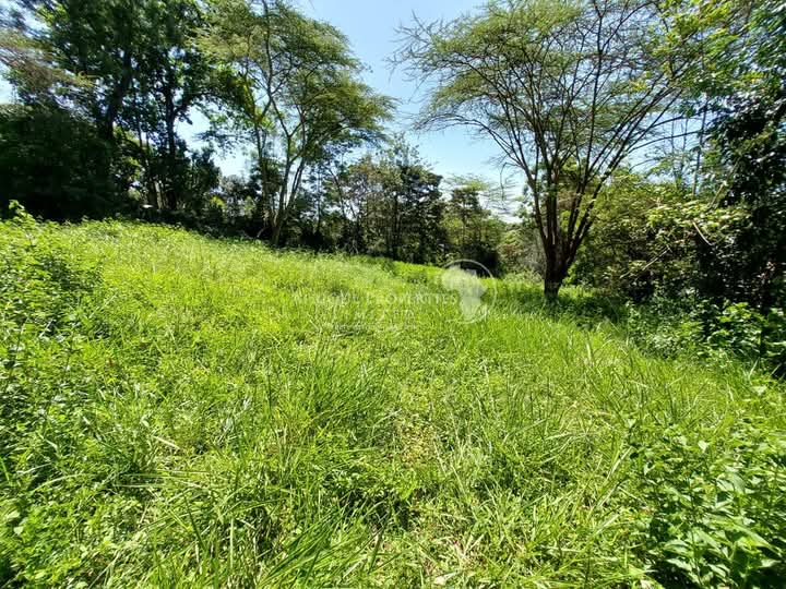 Prime Resident Plot For Sale in Old Runda