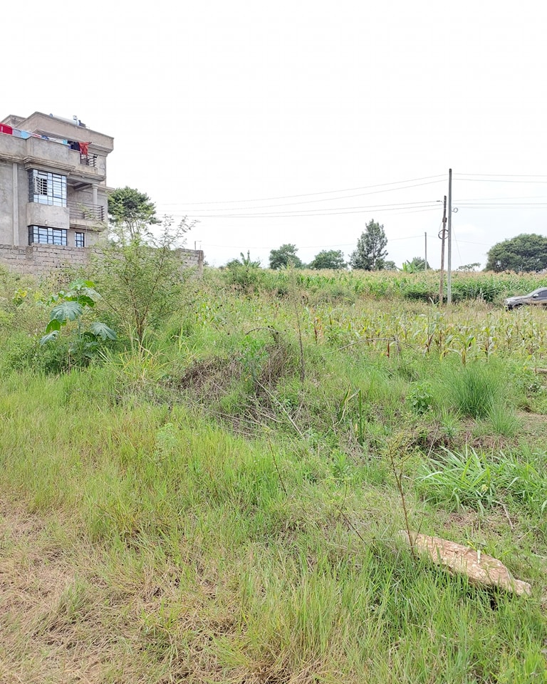 Prime Residential 50*100 Plot For Sale in Ruiru