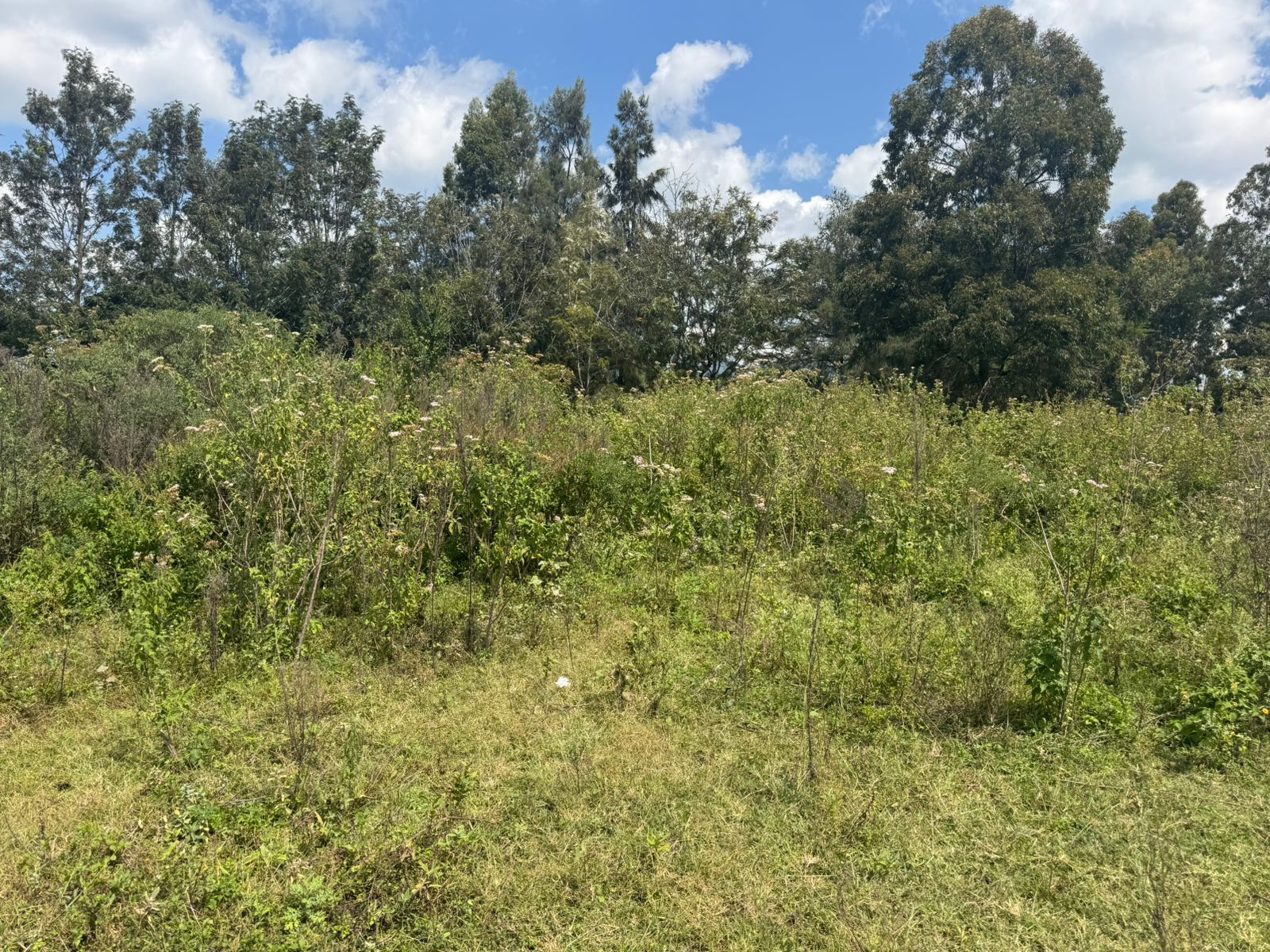 prime residential ½ acre plot for sale in Kerarapon Image