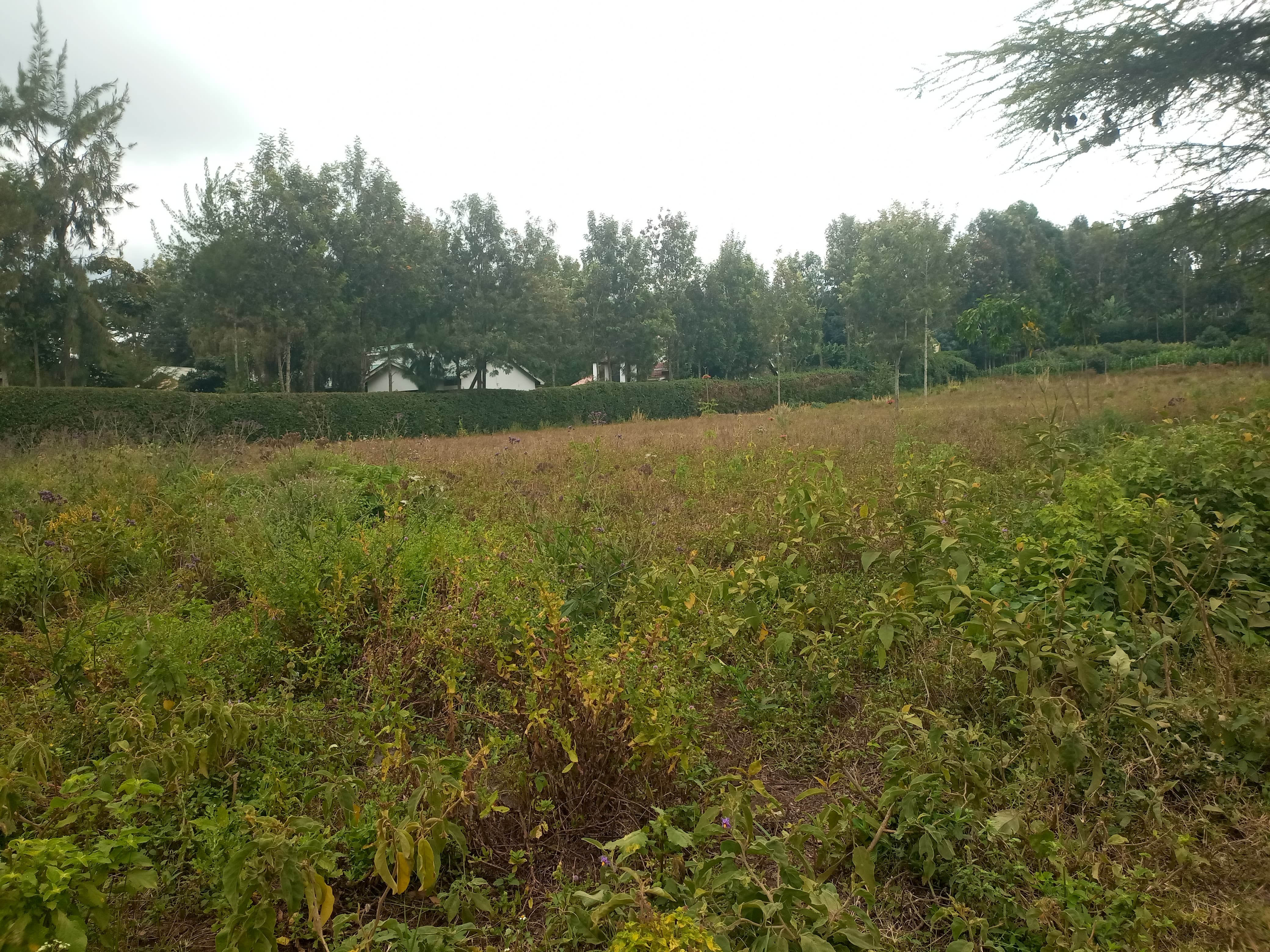 prime residential ½ acre plot for sale in Kerarapon
