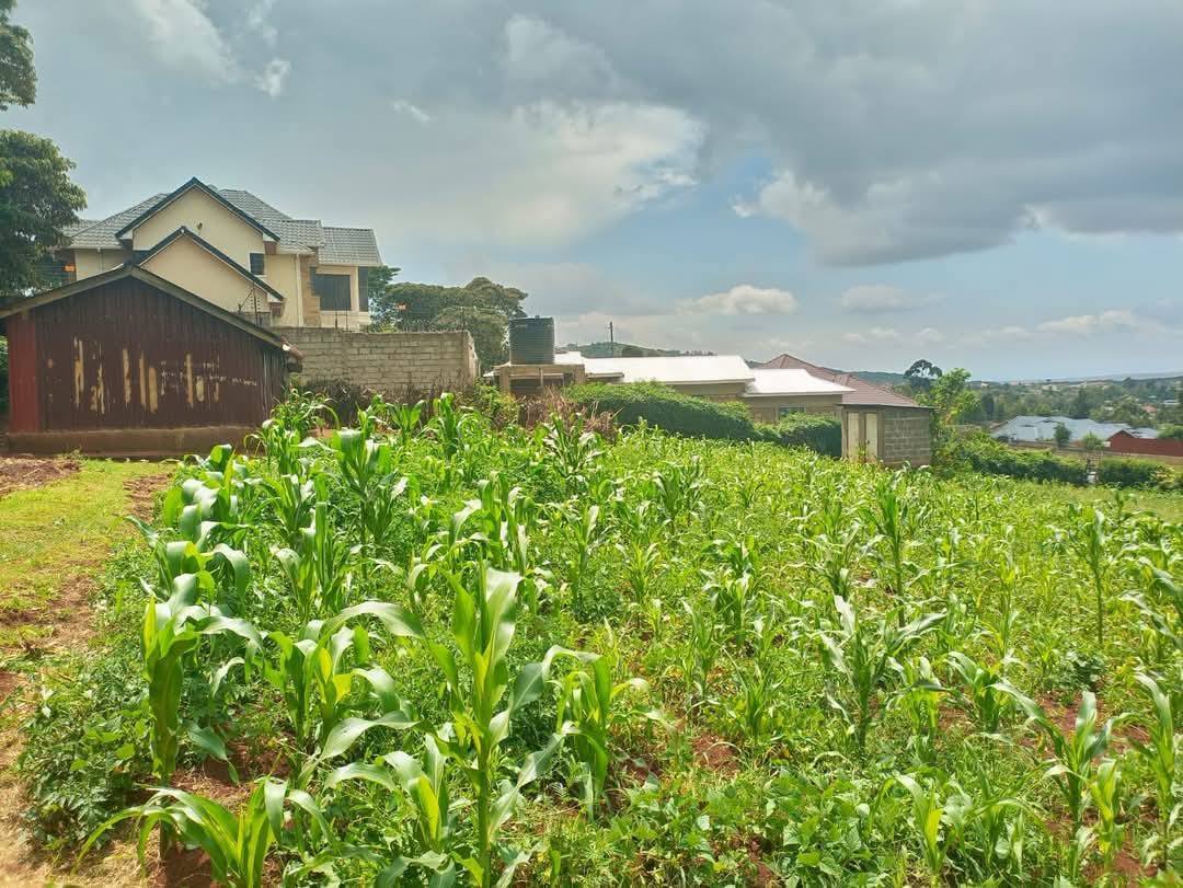 PRIME RESIDENTIAL LAND FOR SALE IN KIBIKO, NGONG Image