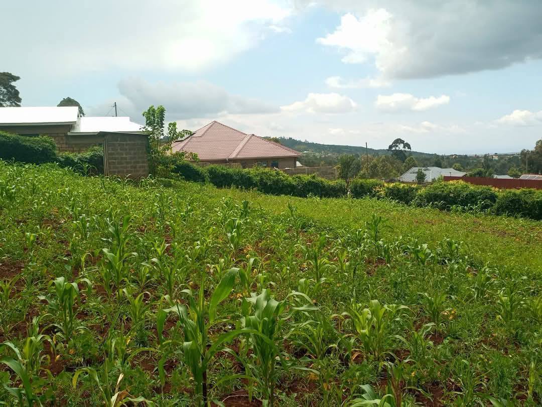 PRIME RESIDENTIAL LAND FOR SALE IN KIBIKO, NGONG