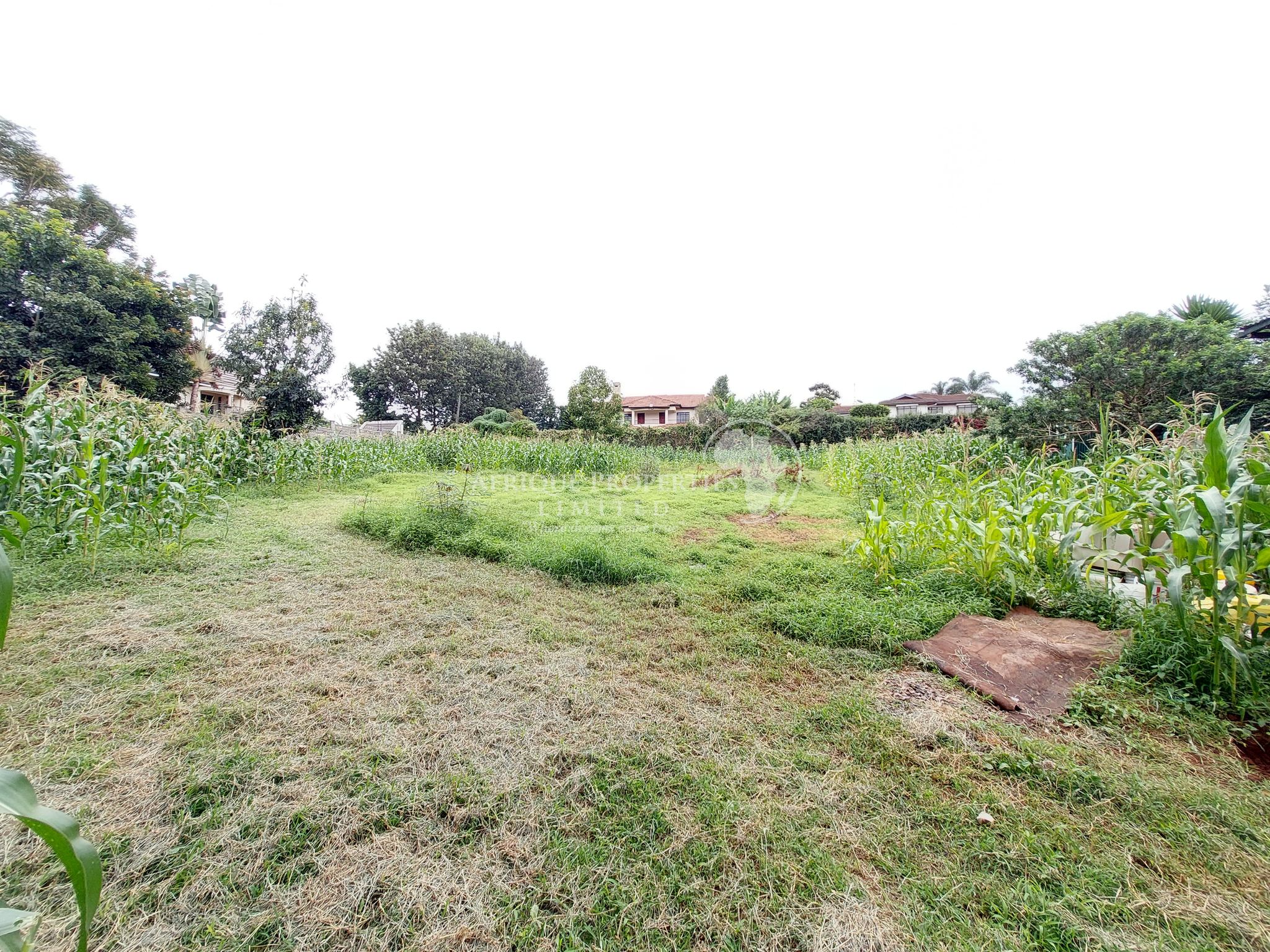 Prime Residential Land For Sale in Runda Image