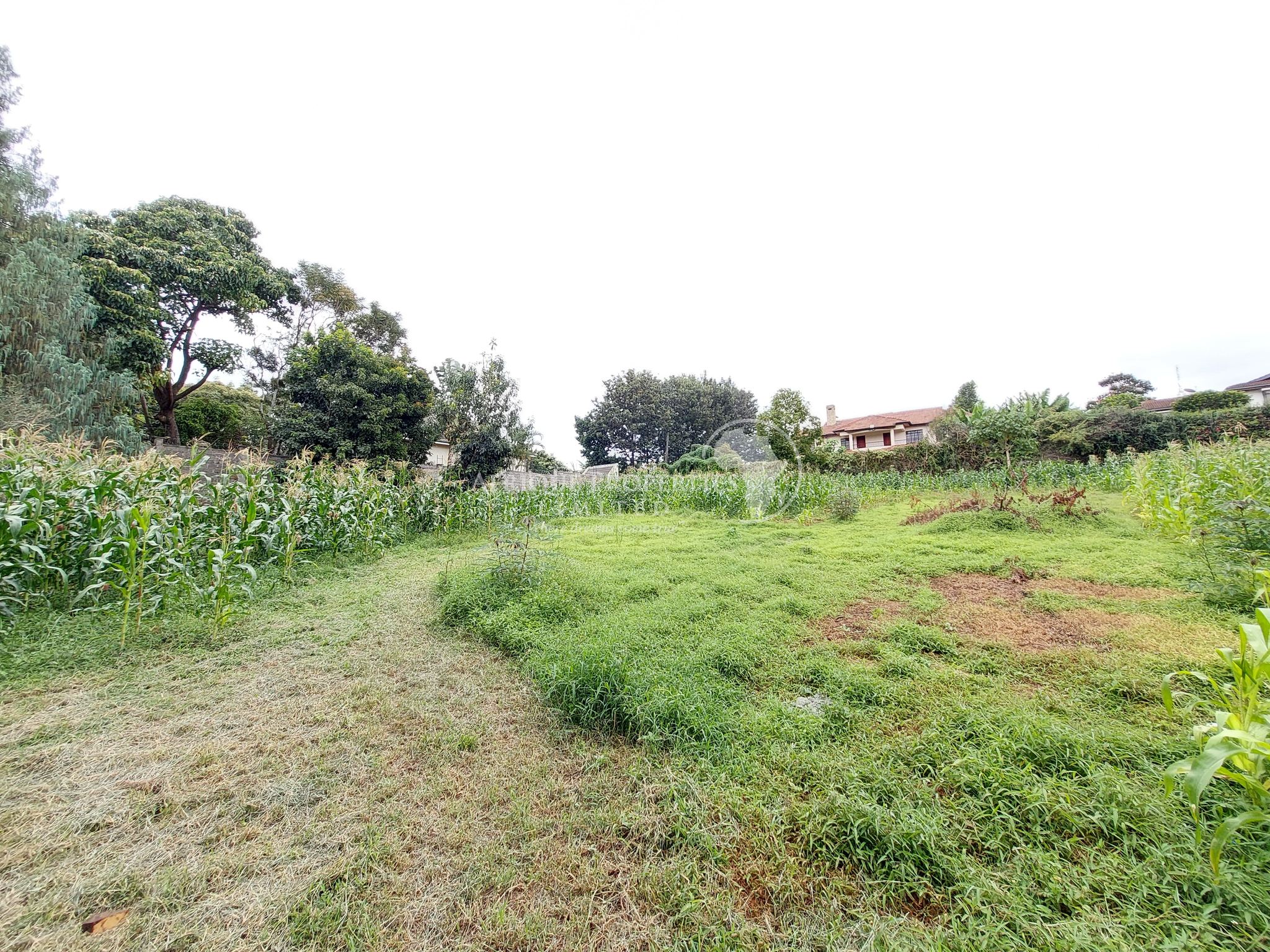 Prime Residential Land For Sale in Runda