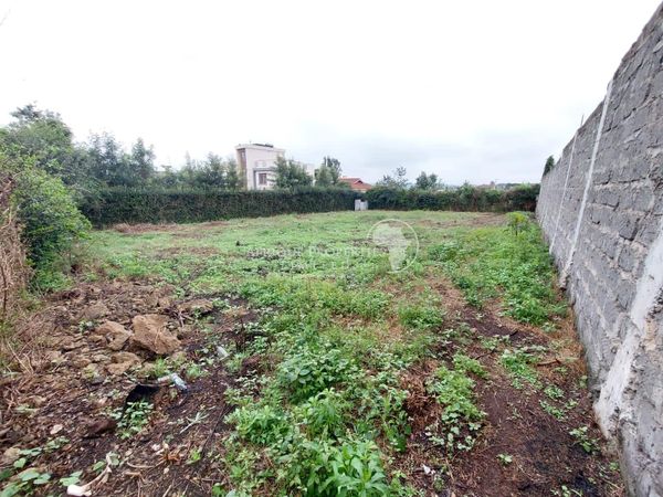 Prime Residential Plot for Sale in Membly Estate