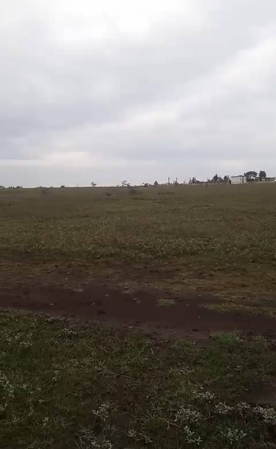 PRIME RESIDENTIAL PLOT FOR SALE IN MUNG'ETHO, NANYUKI Image