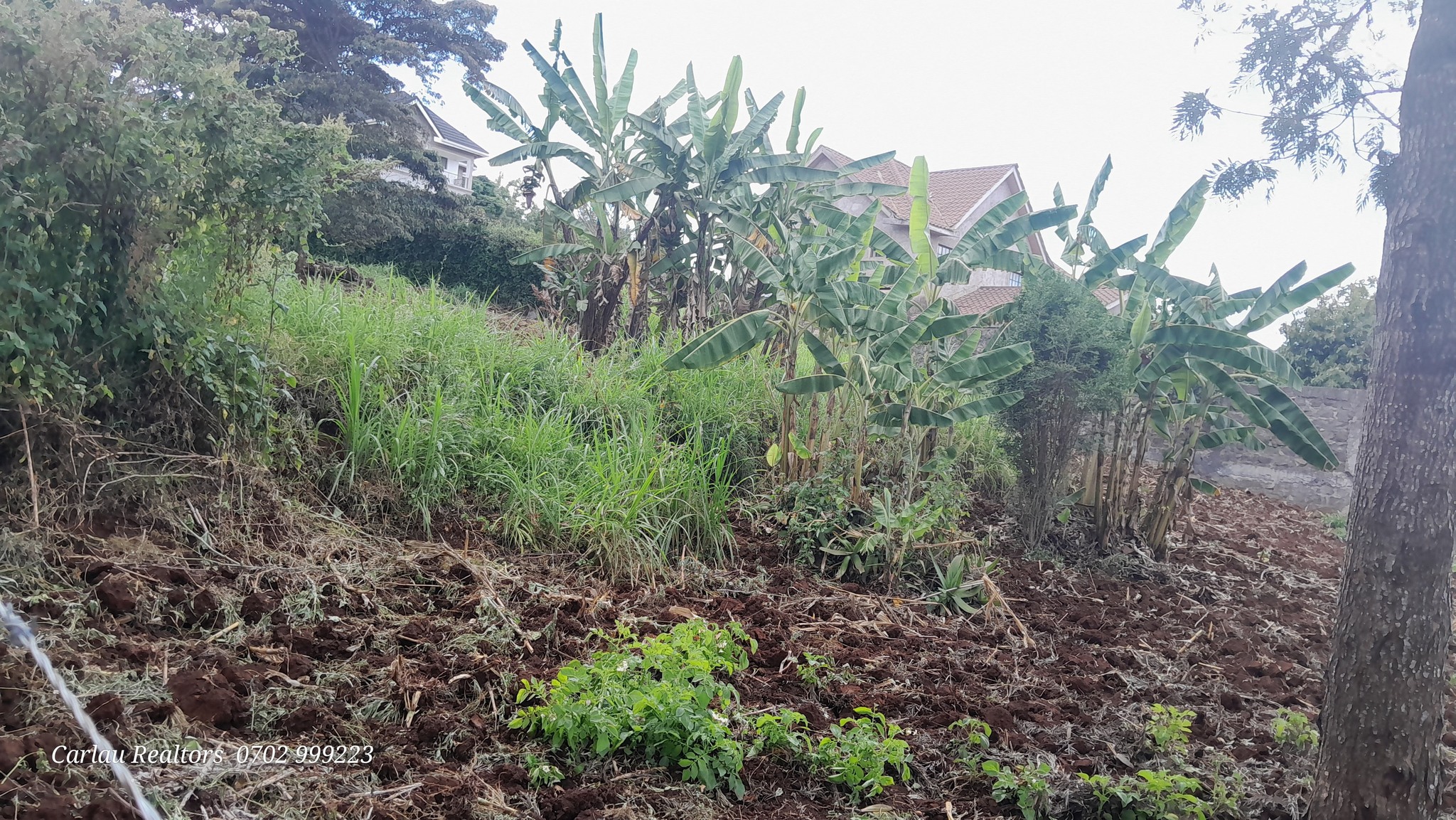PRIME RESIDENTIAL PLOT FOR SALE IN NGONG Image