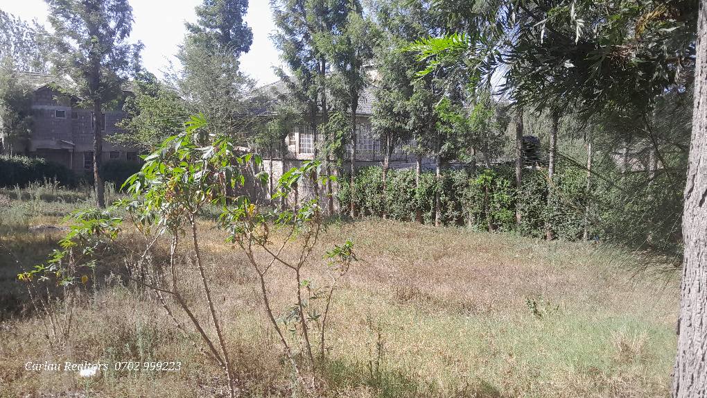 PRIME RESIDENTIAL PLOT FOR SALE IN NGONG Image