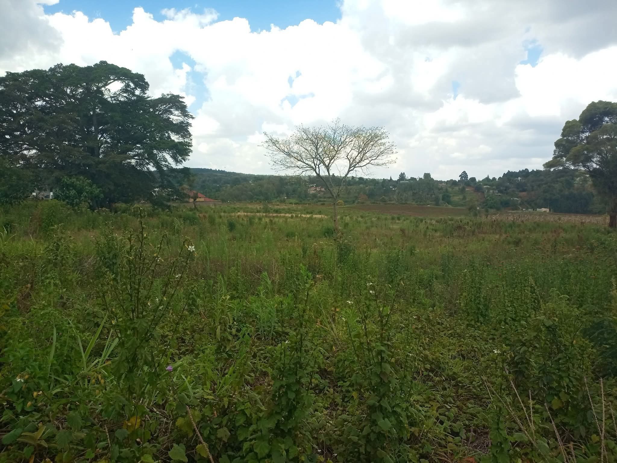 PRIME RESIDENTIAL PLOT FOR SALE – KERARAPON DRIVE