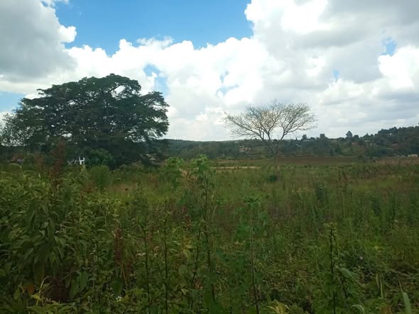 PRIME RESIDENTIAL PLOT FOR SALE – KERARAPON DRIVE Image