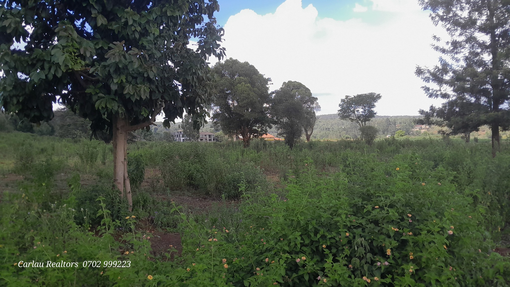 PRIME RESIDENTIAL PLOTS FOR SALE IN KERARAPON DRIVE