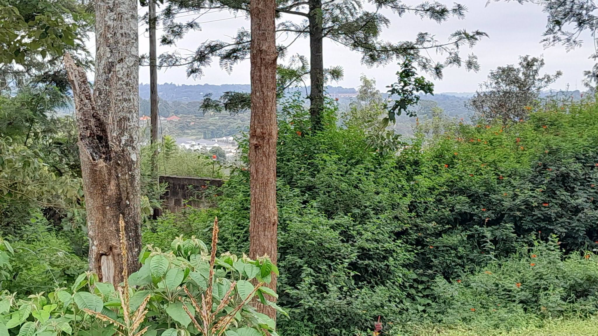 prime residential plots for sale in ngong olkeri Image
