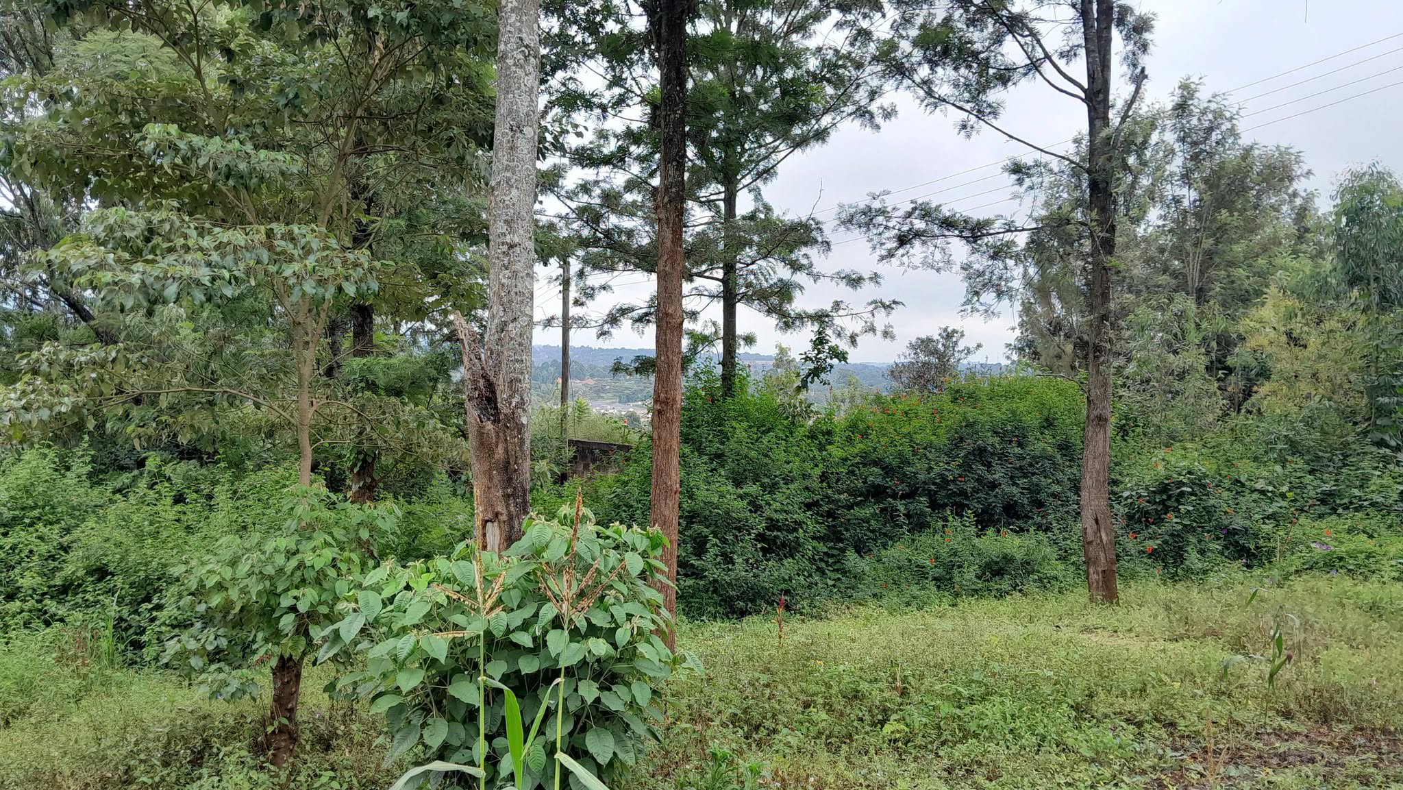 prime residential plots for sale in ngong olkeri Image