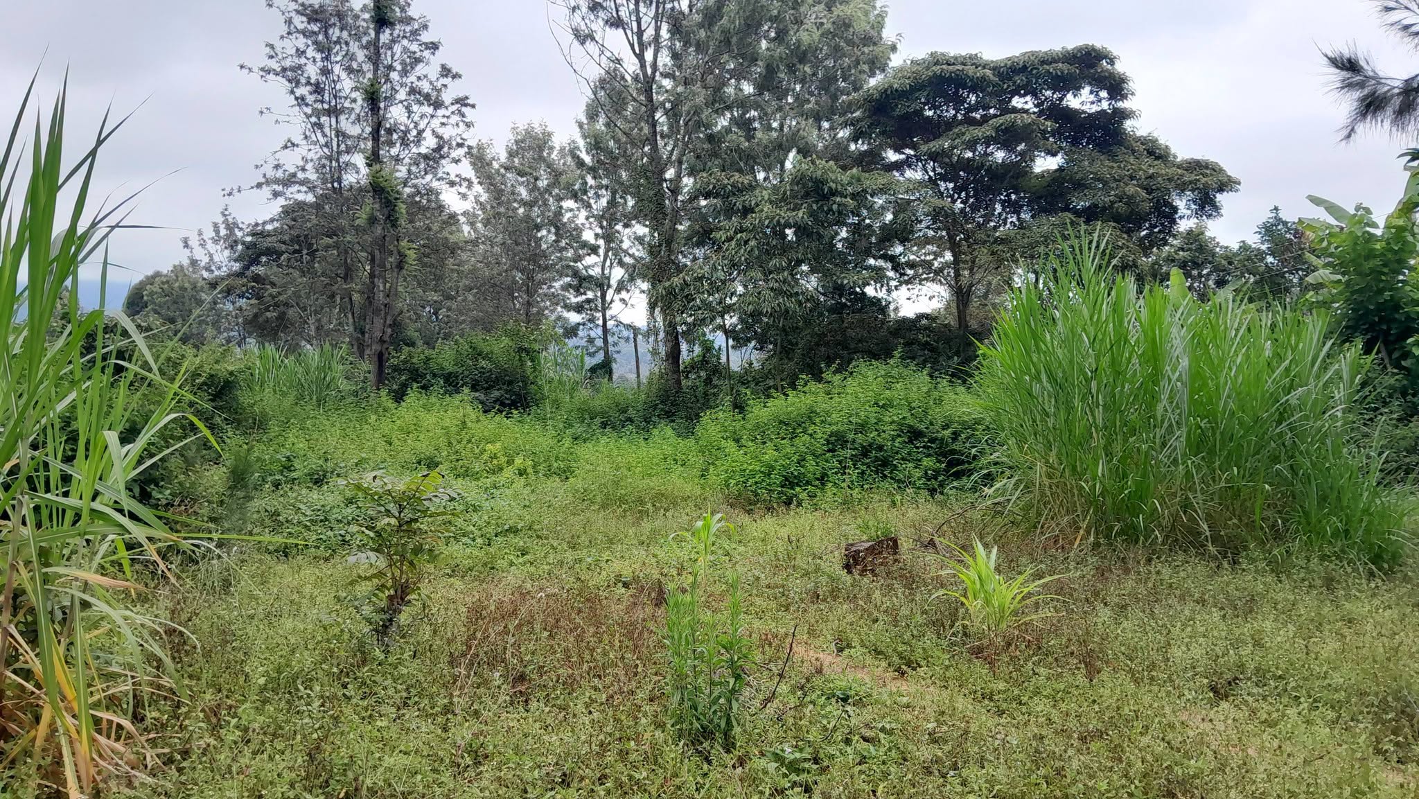 prime residential plots for sale in ngong olkeri