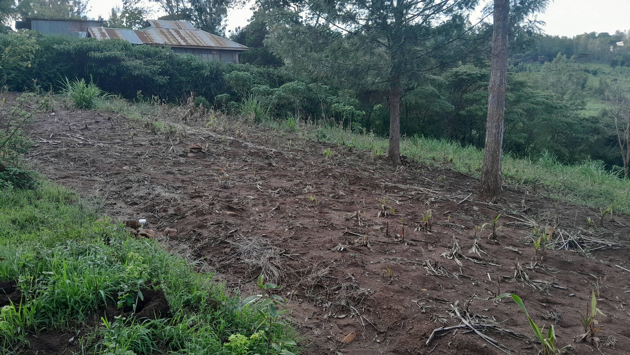 PRIME RESIDENTIAL PLOTS FOR SALE – MATASIA, NGONG Image