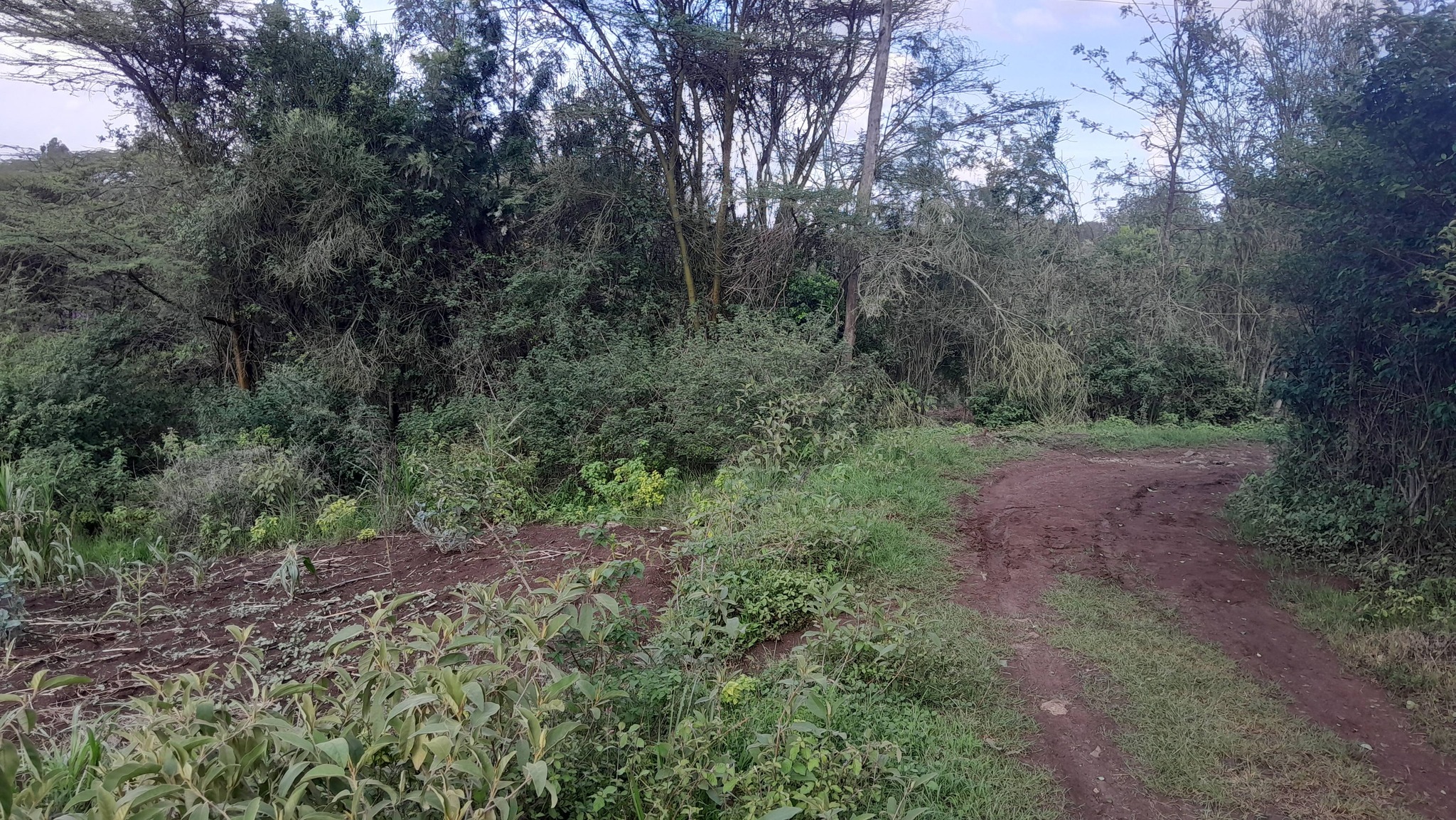PRIME RESIDENTIAL PLOTS FOR SALE – MATASIA, NGONG Image